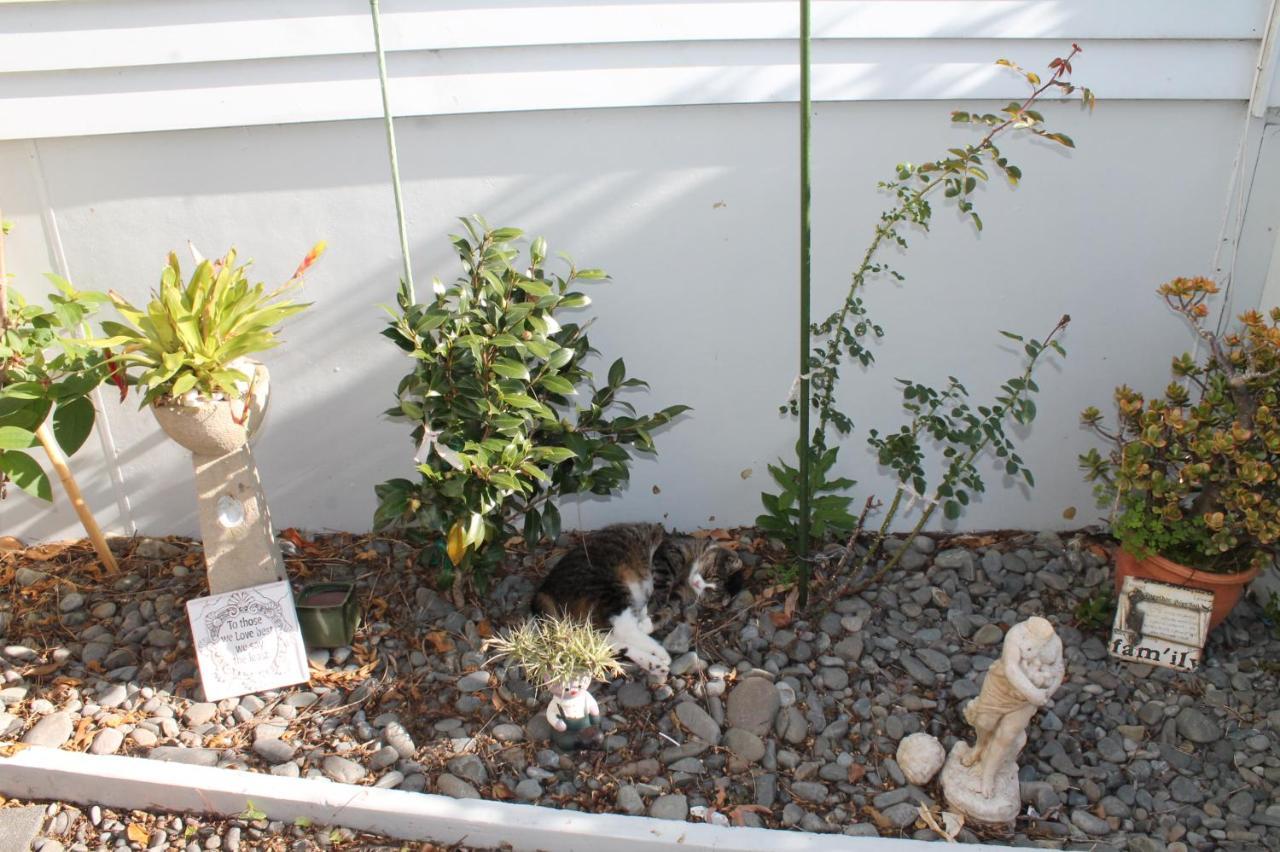 RaweneBrockies B N B住宿加早餐旅馆 外观 照片